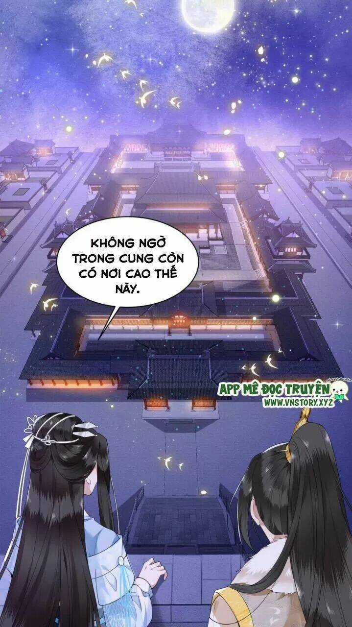 Phượng Hoàng Vu Phi Chapter 78 trang 19