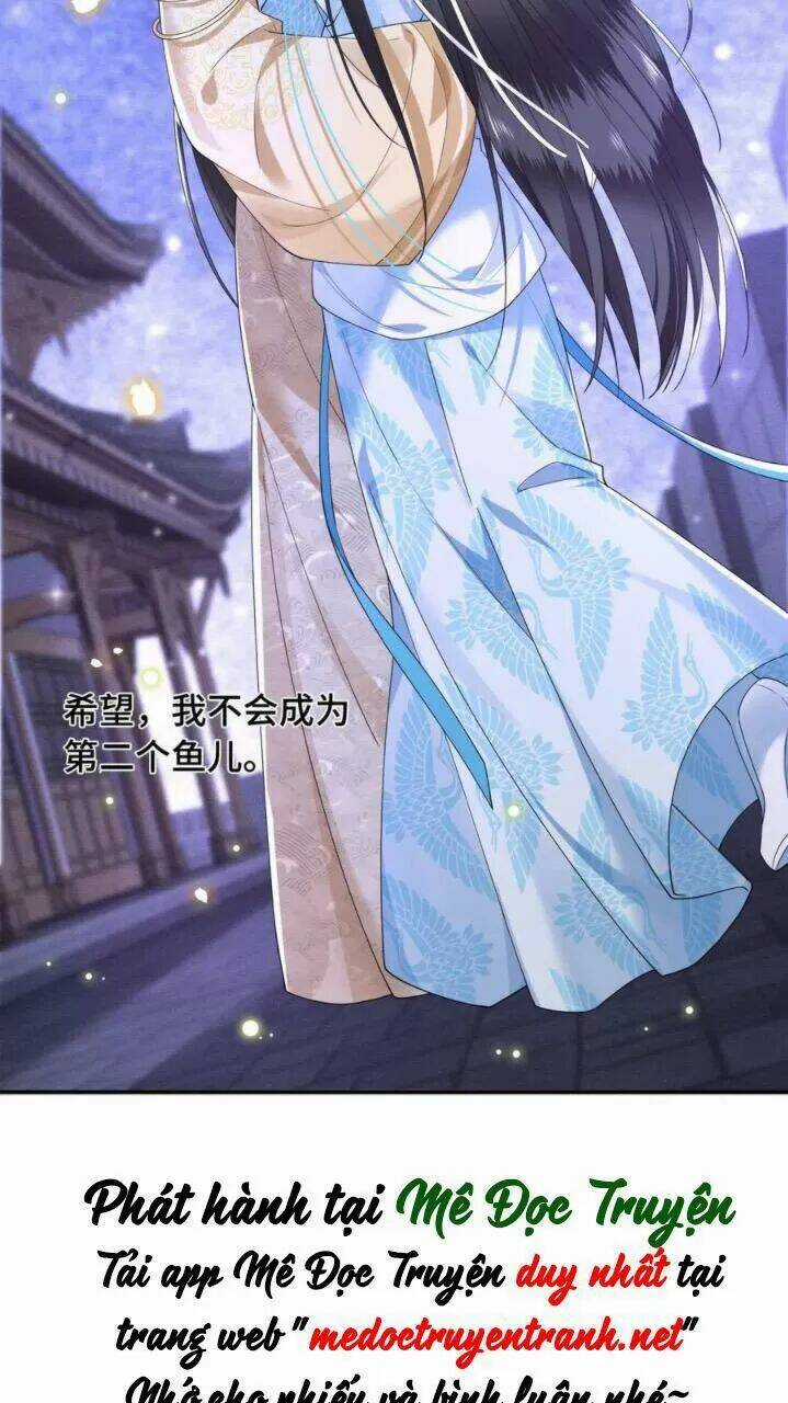 Phượng Hoàng Vu Phi Chapter 78 trang 35