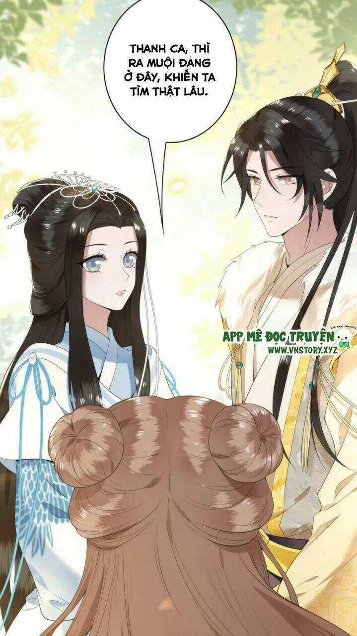 Phượng Hoàng Vu Phi Chapter 81 trang 17