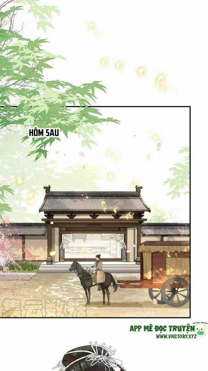 Phượng Hoàng Vu Phi Chapter 81 trang 27