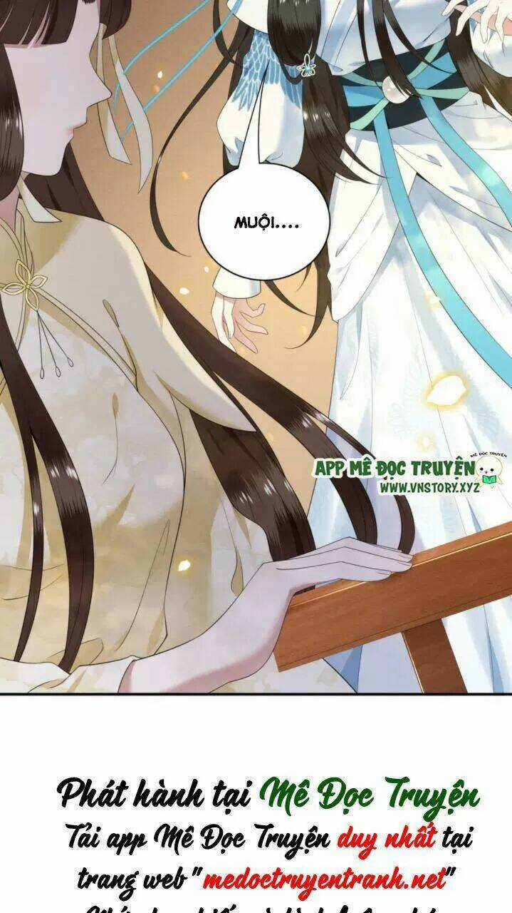 Phượng Hoàng Vu Phi Chapter 81 trang 31