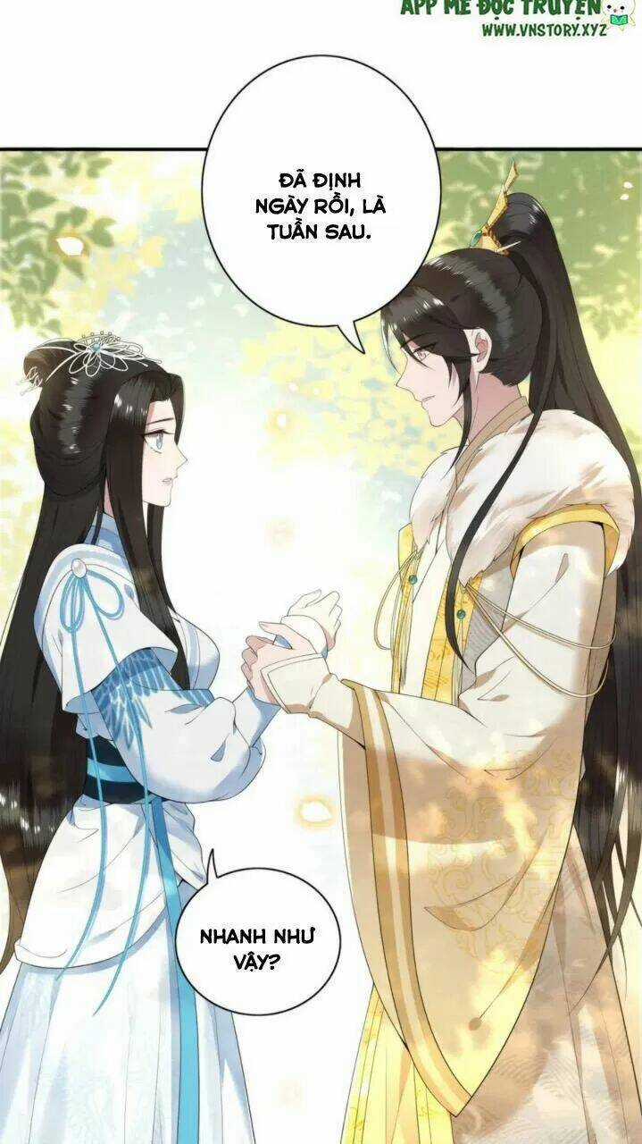 Phượng Hoàng Vu Phi Chapter 81 trang 8