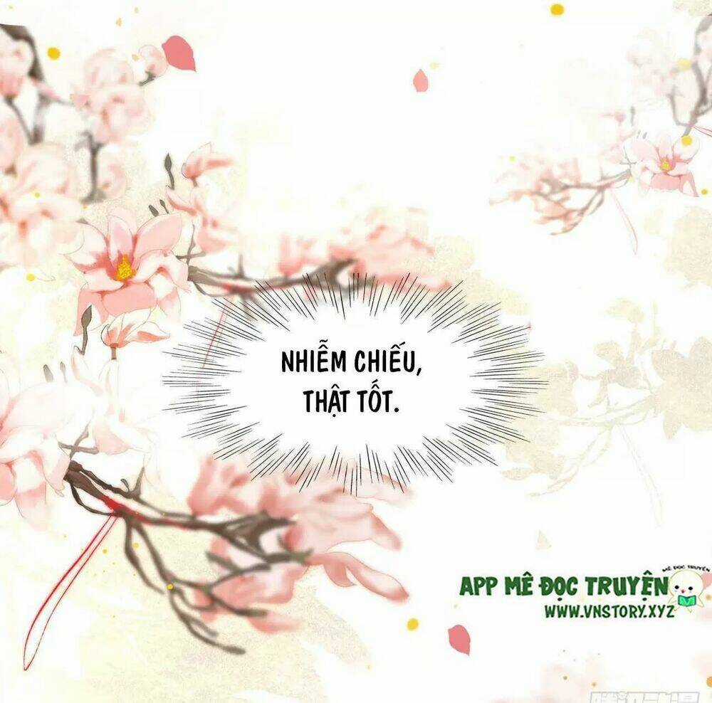 Phượng Hoàng Vu Phi Chapter 92 trang 36