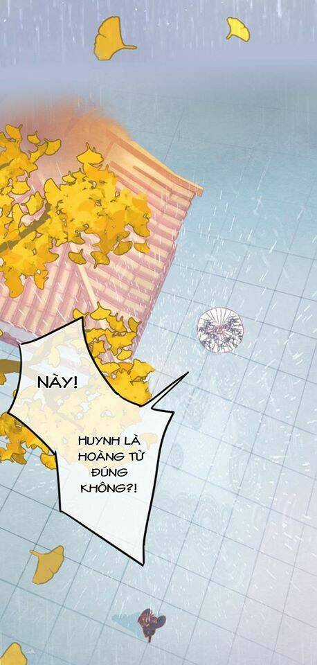 Phượng Hoàng Chapter 0 trang 26