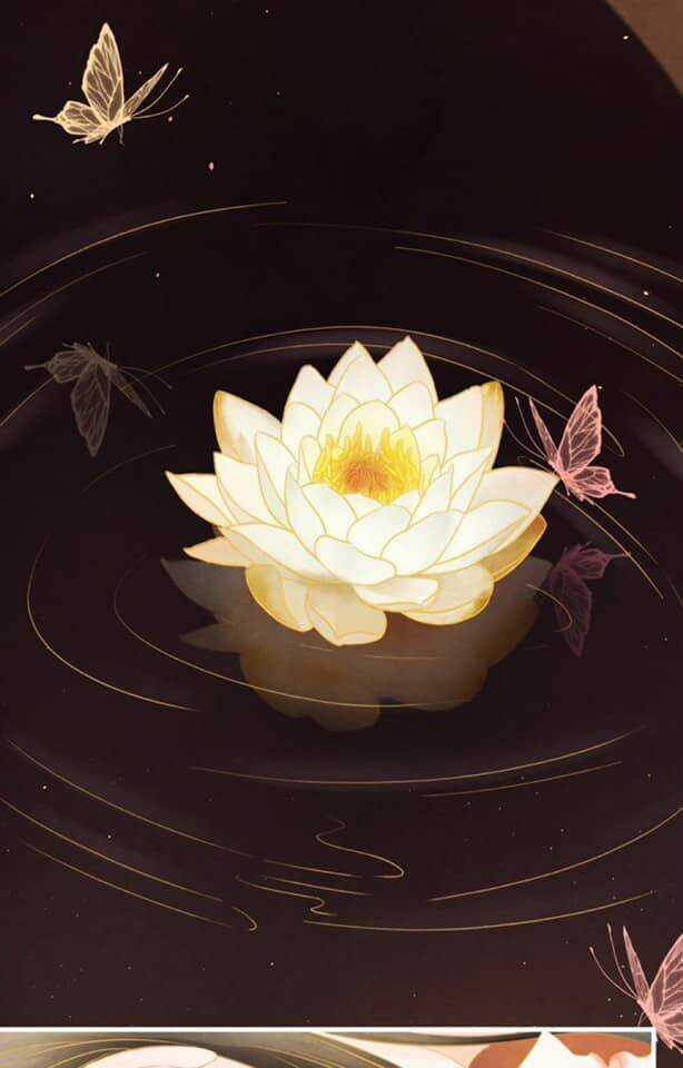 Phượng Hoàng Chapter 3 trang 56