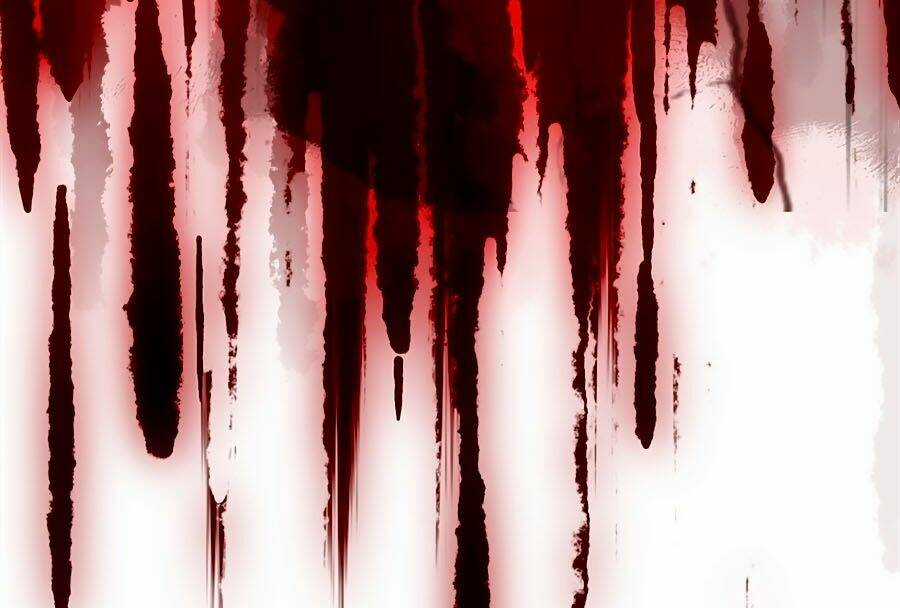 Phượng Ngự Tà Vương Chapter 1 trang 12