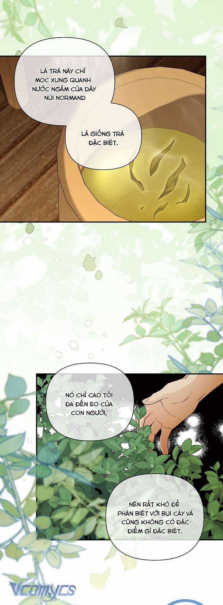 Phương Pháp Che Giấu Đứa Con Của Hoàng Đế Chapter 107 trang 38