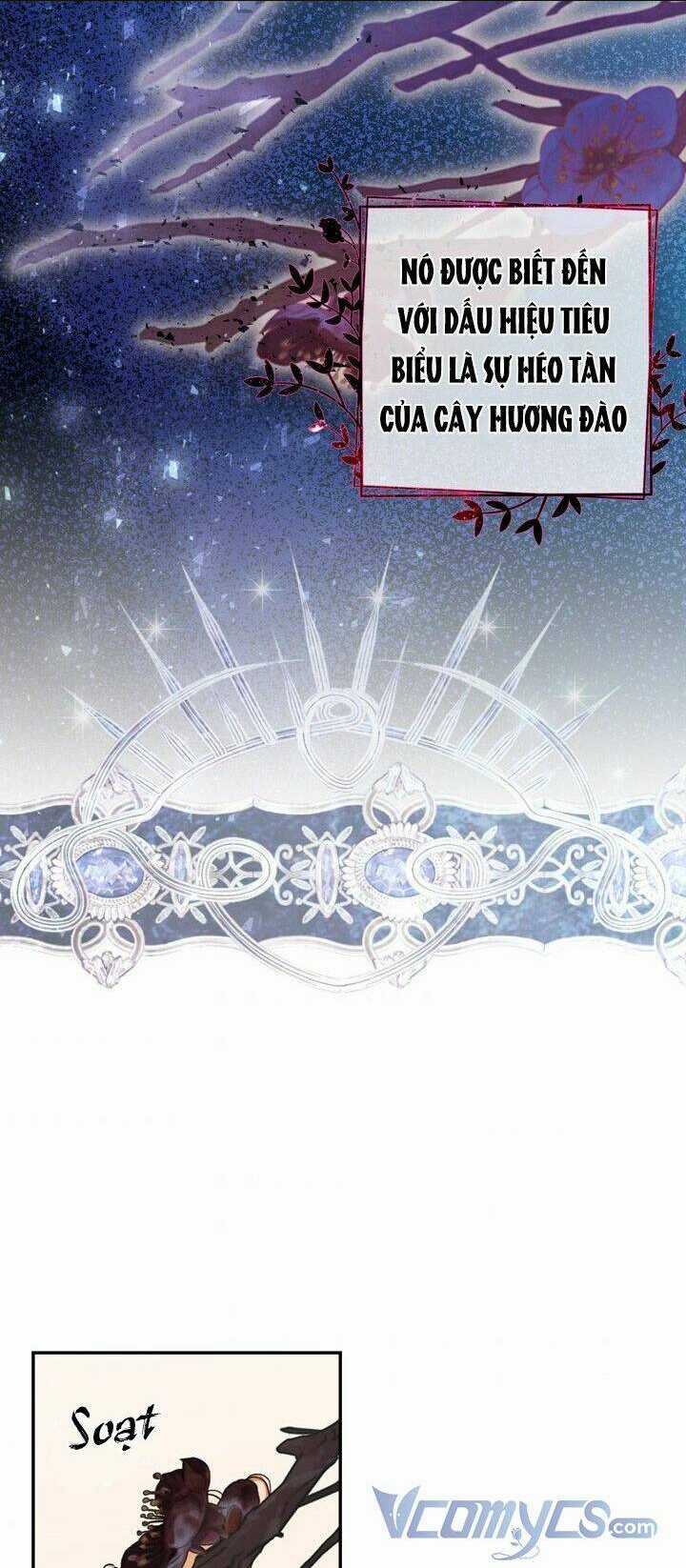 Phương Pháp Che Giấu Đứa Con Của Hoàng Đế Chapter 19 trang 1