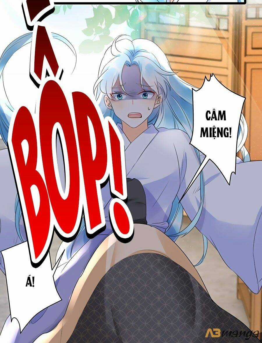 Phượng Quy Triều: Lãnh Vương Thịnh Sủng Pháp Y Phi Chapter 3 trang 5