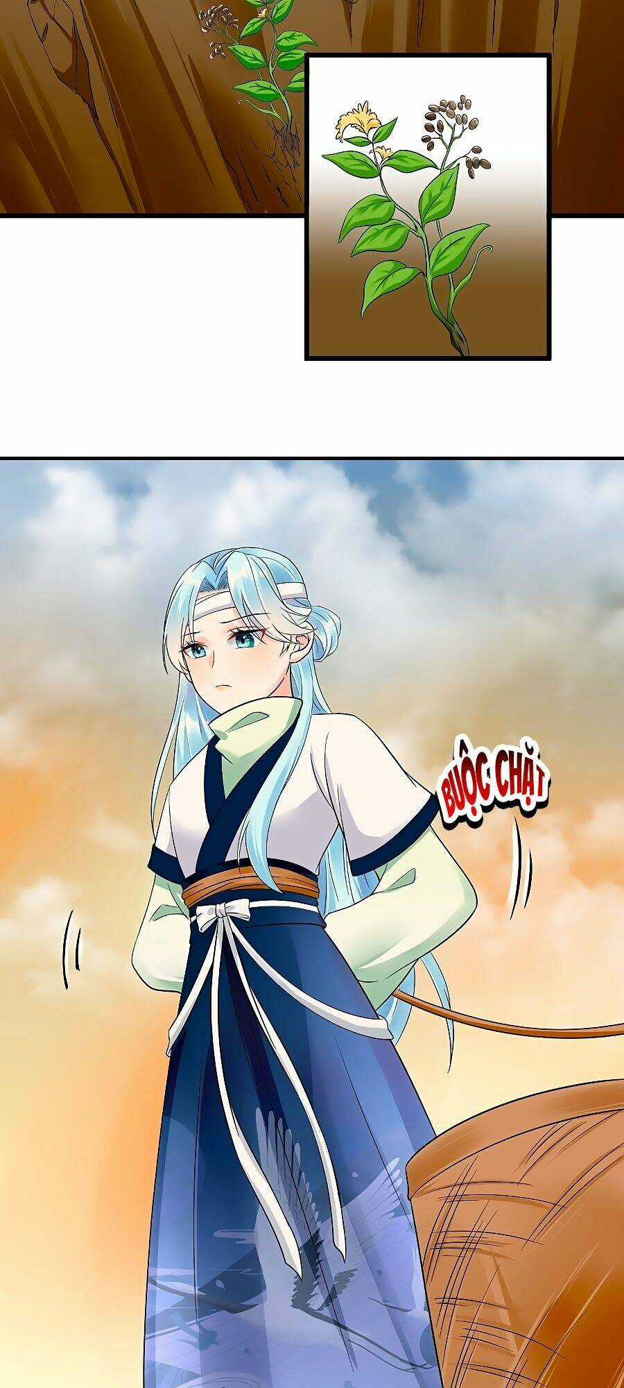 Phượng Quy Triều: Lãnh Vương Thịnh Sủng Pháp Y Phi Chapter 6 trang 9