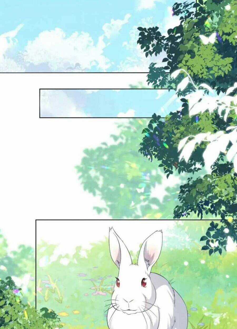 Phương Thức Nuôi Dưỡng Nhân Vật Phản Diện Chapter 14 trang 17