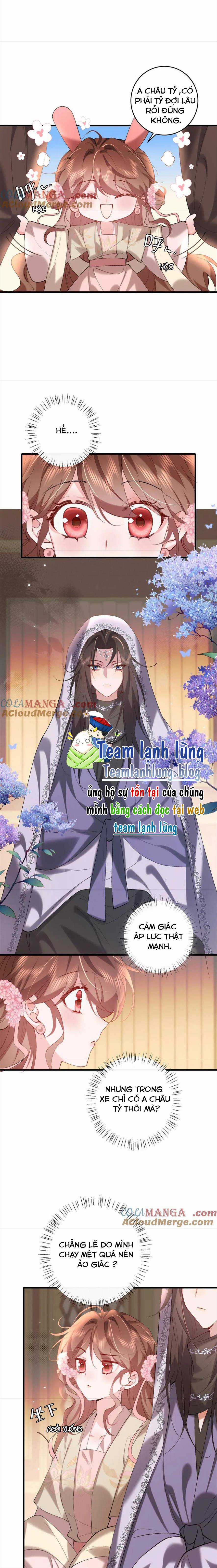 PHƯƠNG THỨC SINH TỒN CỦA CÔNG CHÚA PHÁO HÔI Chapter 284 trang 3