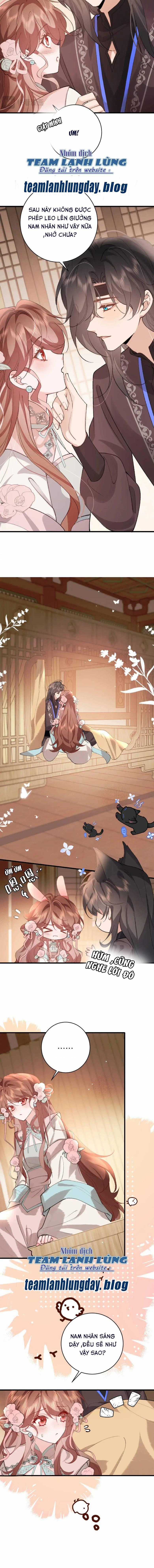 PHƯƠNG THỨC SINH TỒN CỦA CÔNG CHÚA PHÁO HÔI Chapter 303 trang 2