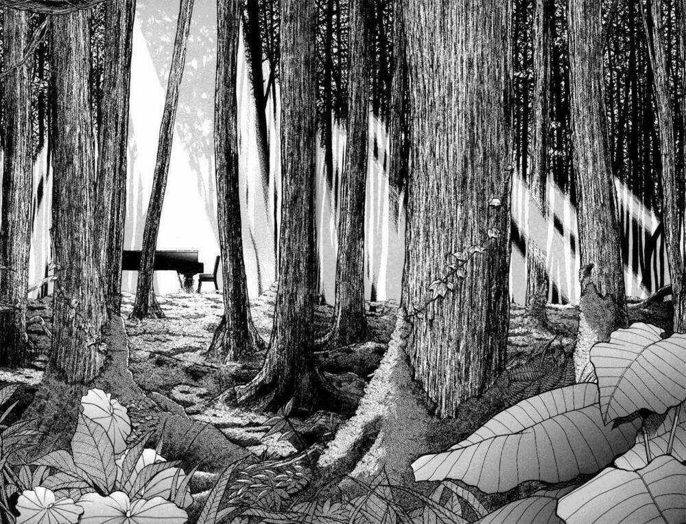 Piano No Mori Chapter 2 trang 21