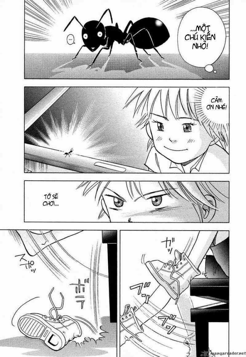 Piano No Mori Chapter 37 trang 25