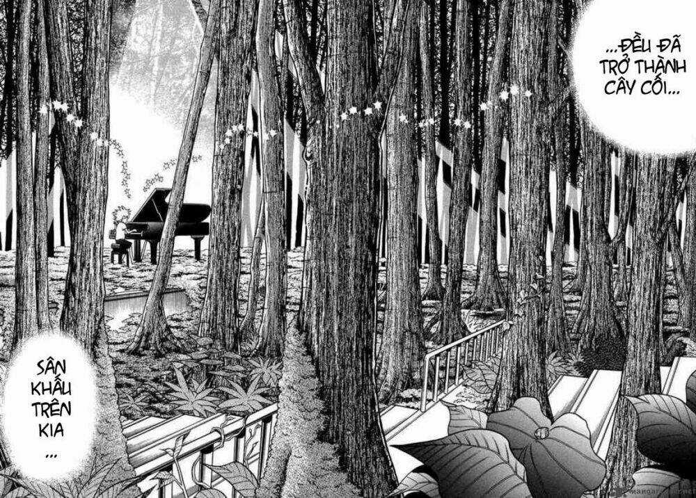 Piano No Mori Chapter 38 trang 14