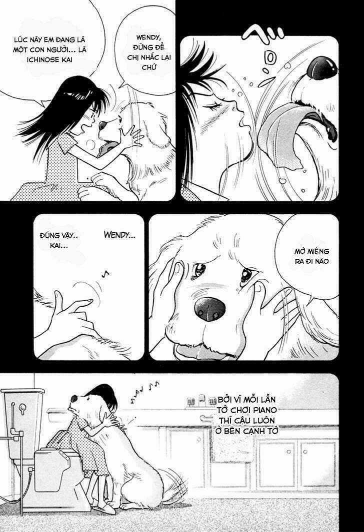 Piano No Mori Chapter 45 trang 5