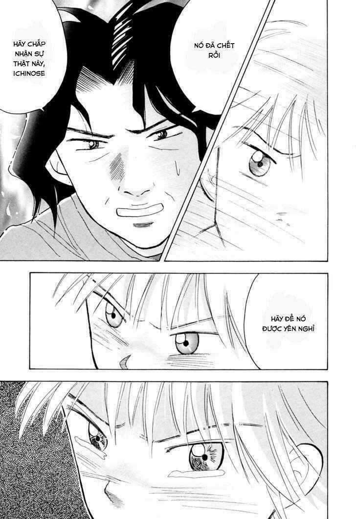 Piano No Mori Chapter 50 trang 8