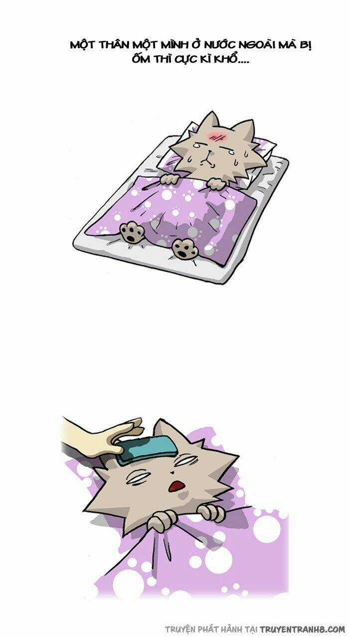 Pigeonhole Fantasia 2 Chapter 56 trang 2