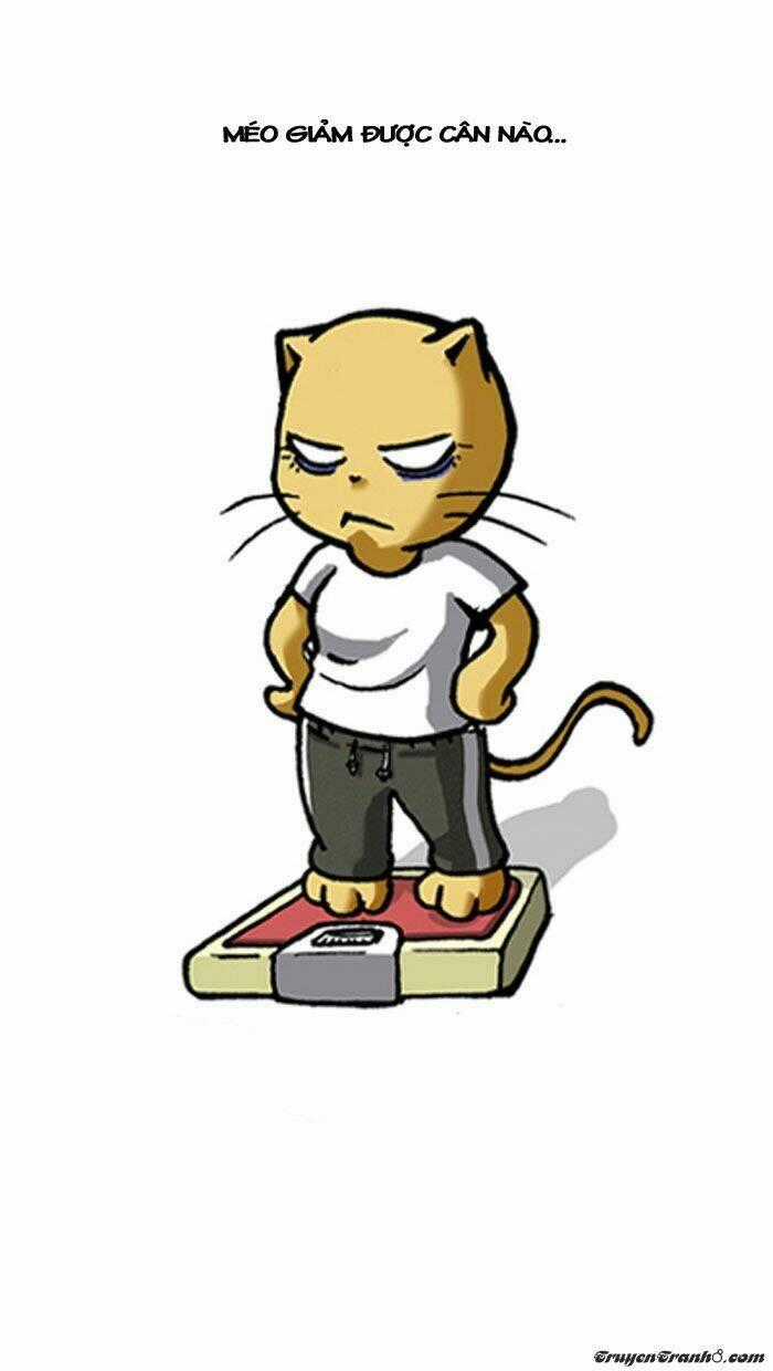 Pigeonhole Fantasia Chapter 23 trang 8