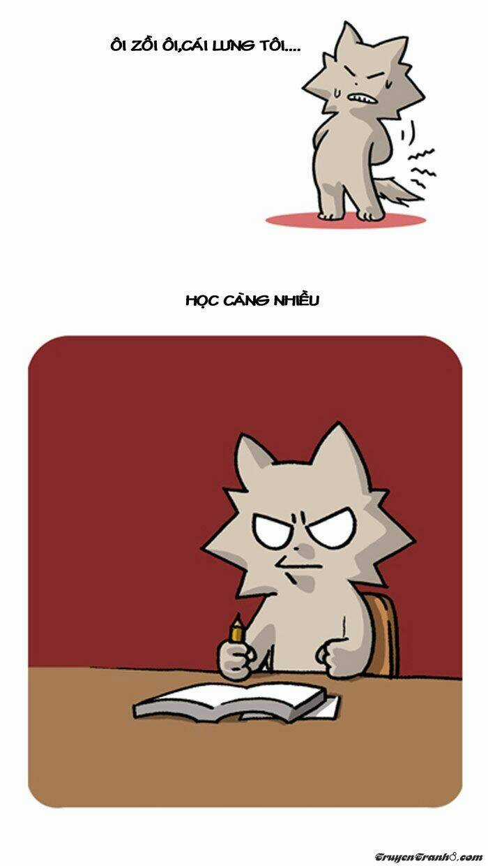 Pigeonhole Fantasia Chapter 34 trang 3