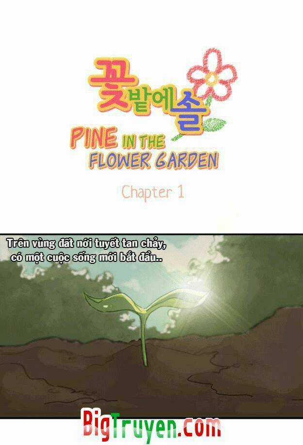 Pine In The Flower Garden Chapter 1 trang 8