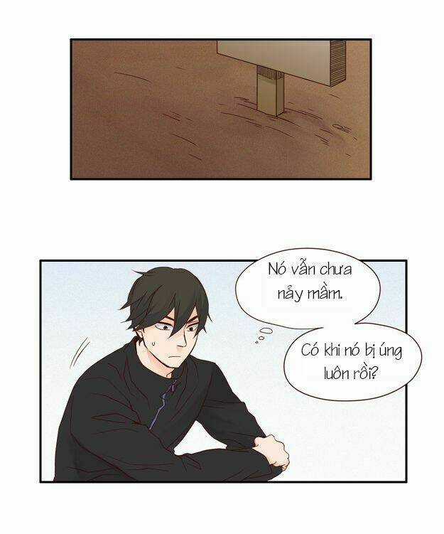 Pine In The Flower Garden Chapter 25 trang 4