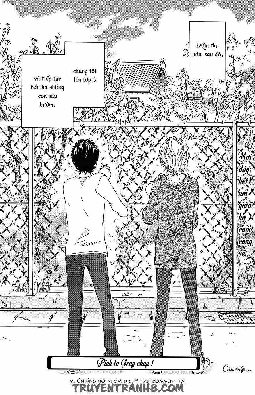 Pink to Gray Chapter 1 trang 43