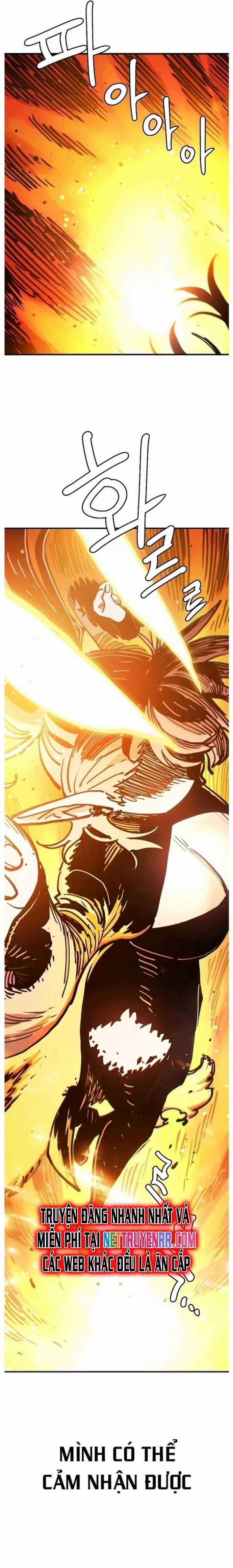 Player Chapter 215 trang 11