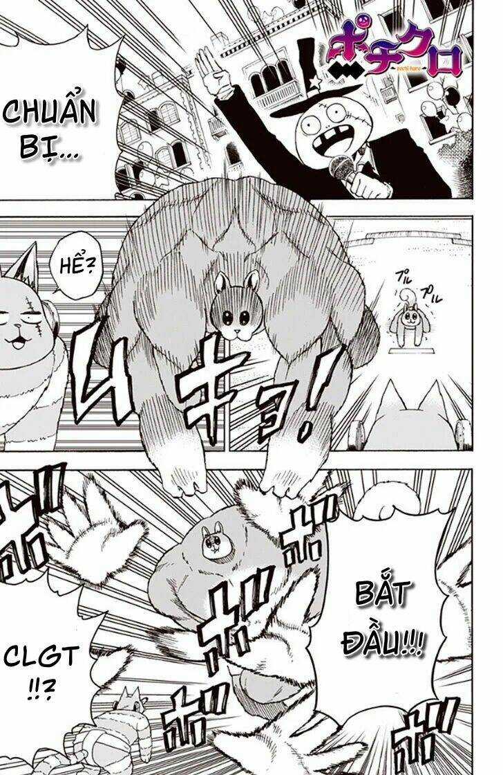 Pochi Kuro Chapter 24 trang 2