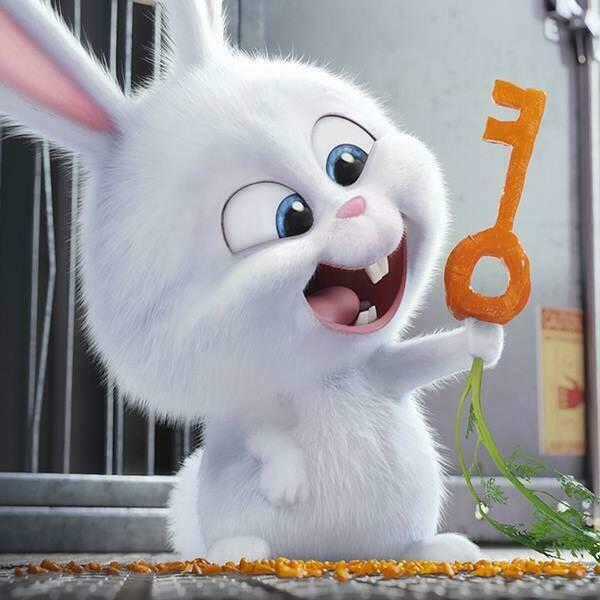 Pochi X Kuro Chapter 16 trang 17