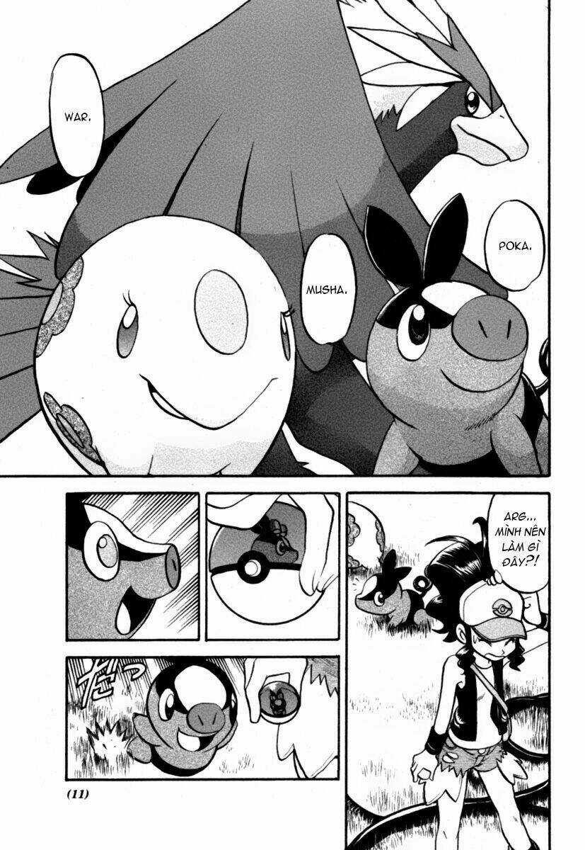 Pokemon Special Black & White Arc Chapter 1 trang 9