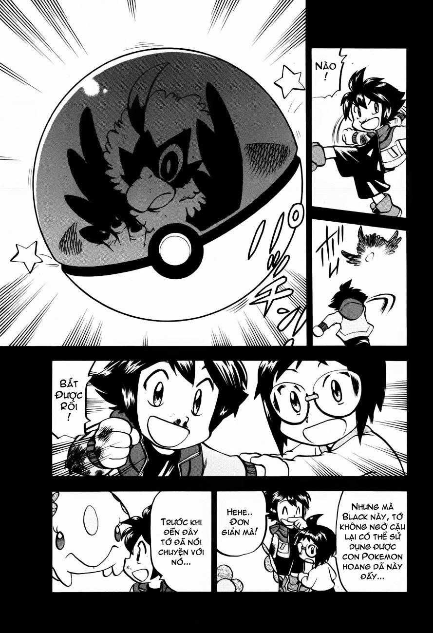 Pokemon Special Chapter 503 trang 17