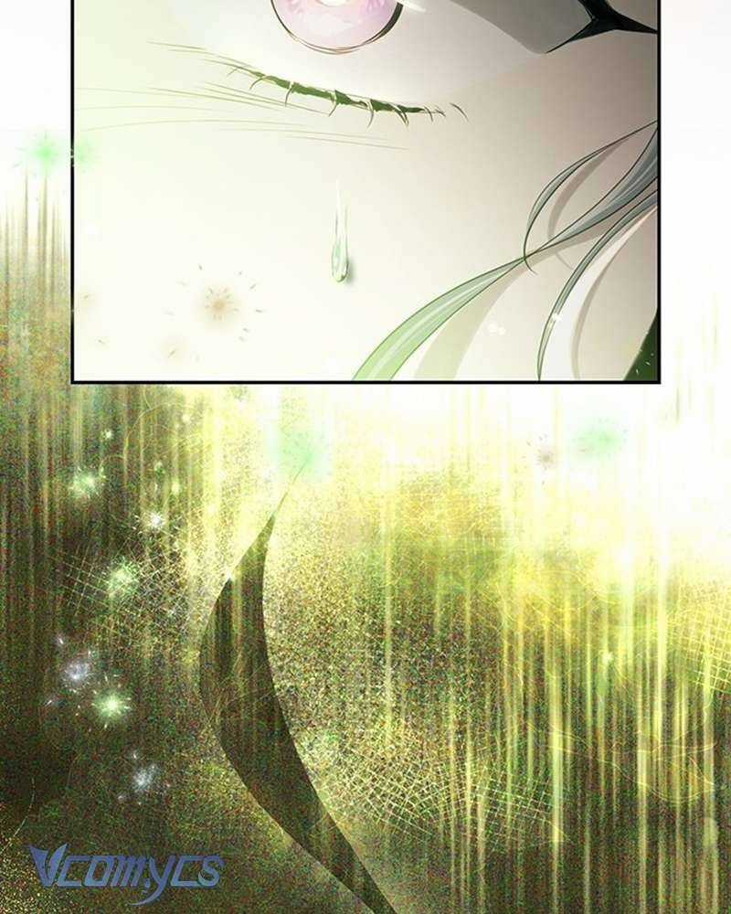 Praesepe Bên Ngoài Chiếc Lồng Chapter 3 trang 10