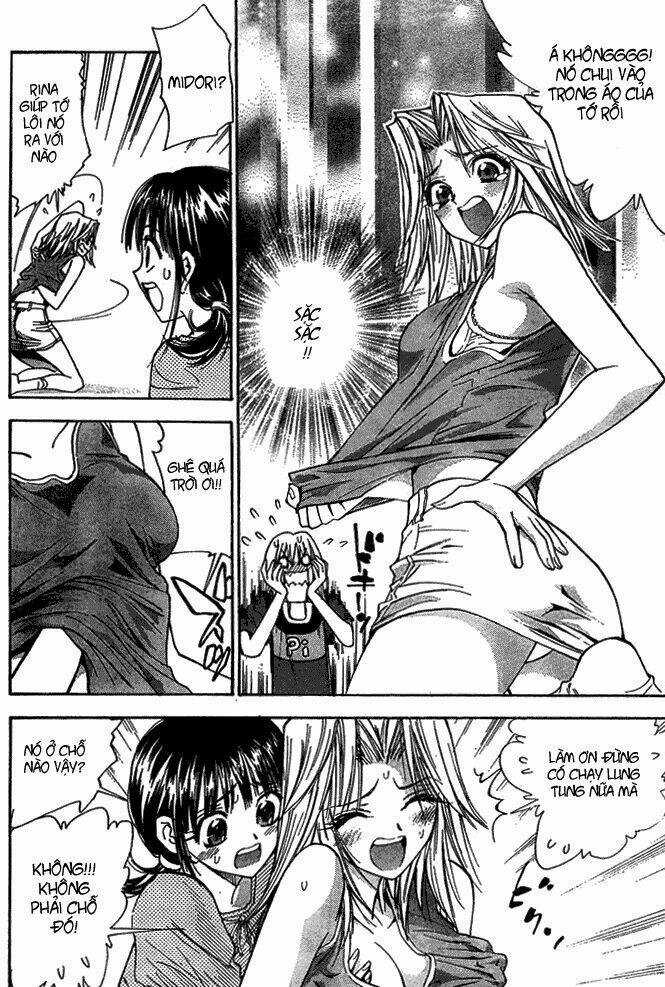 Pretty Face Chapter 14 trang 11