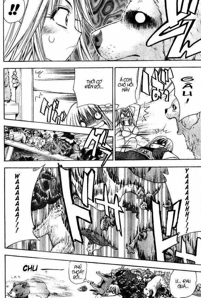 Pretty Face Chapter 14 trang 17