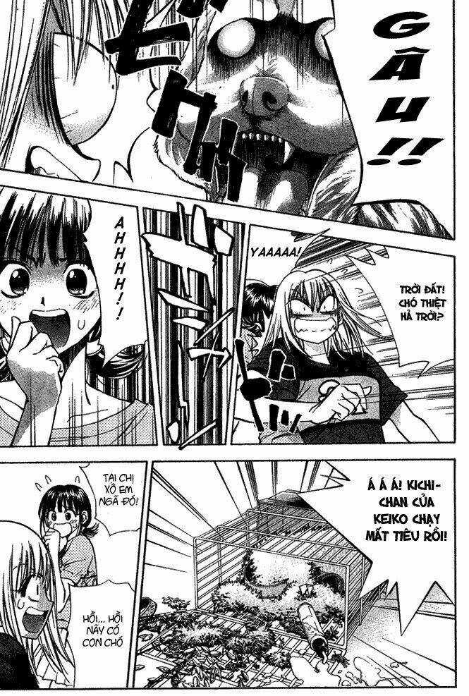 Pretty Face Chapter 14 trang 8