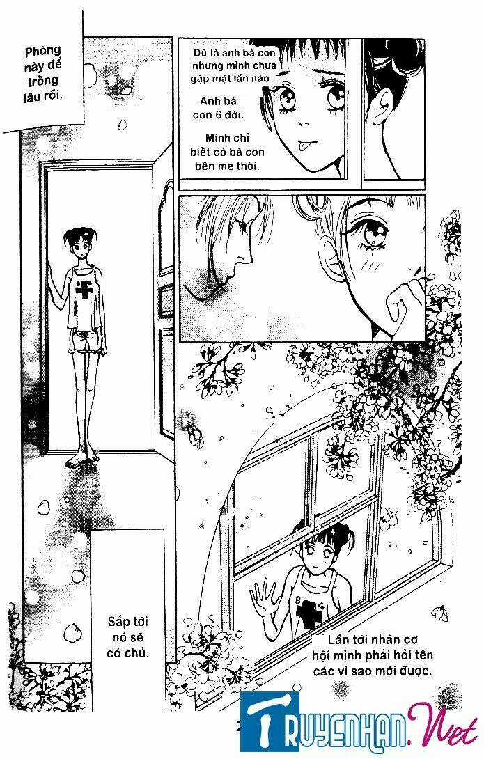 Pretty Chapter 2 trang 7