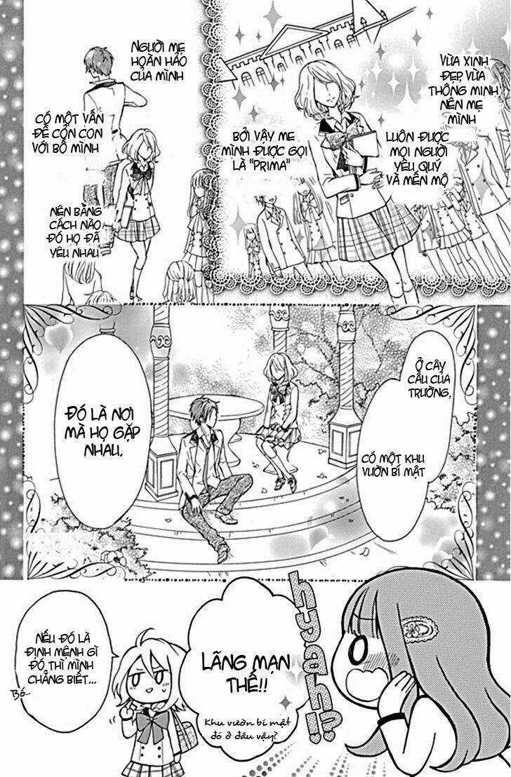 Primo Prima! Chapter 1 trang 5