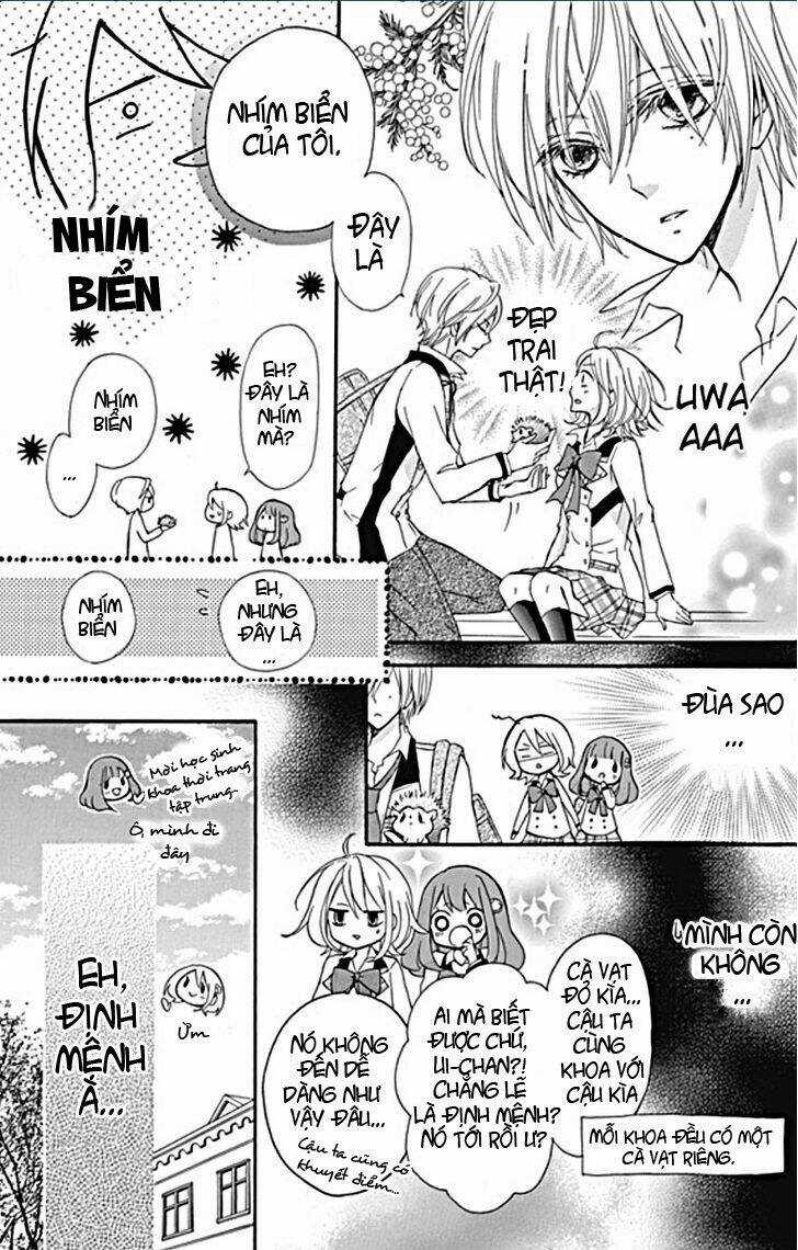 Primo Prima! Chapter 1 trang 8