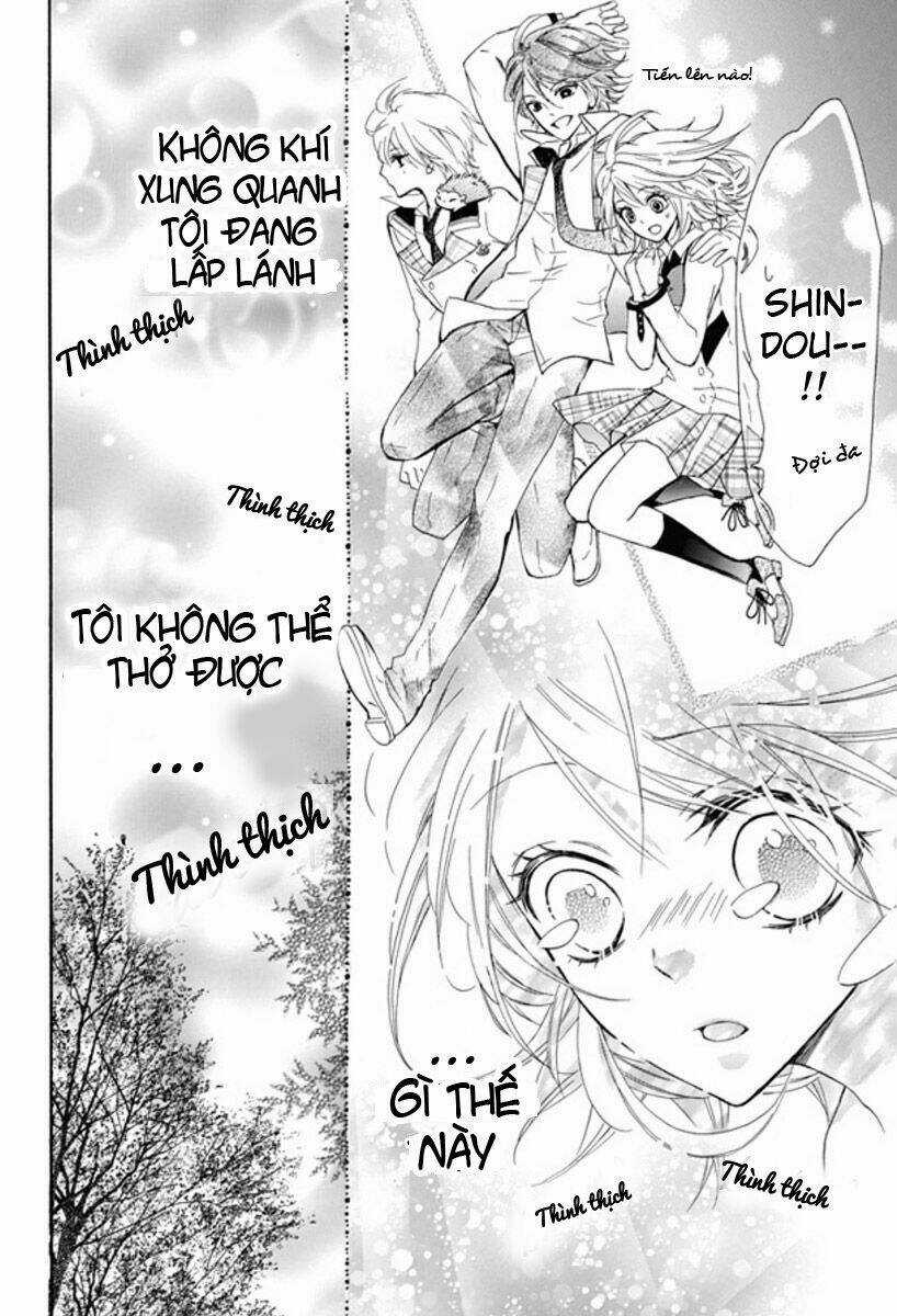 Primo Prima! Chapter 2 trang 14