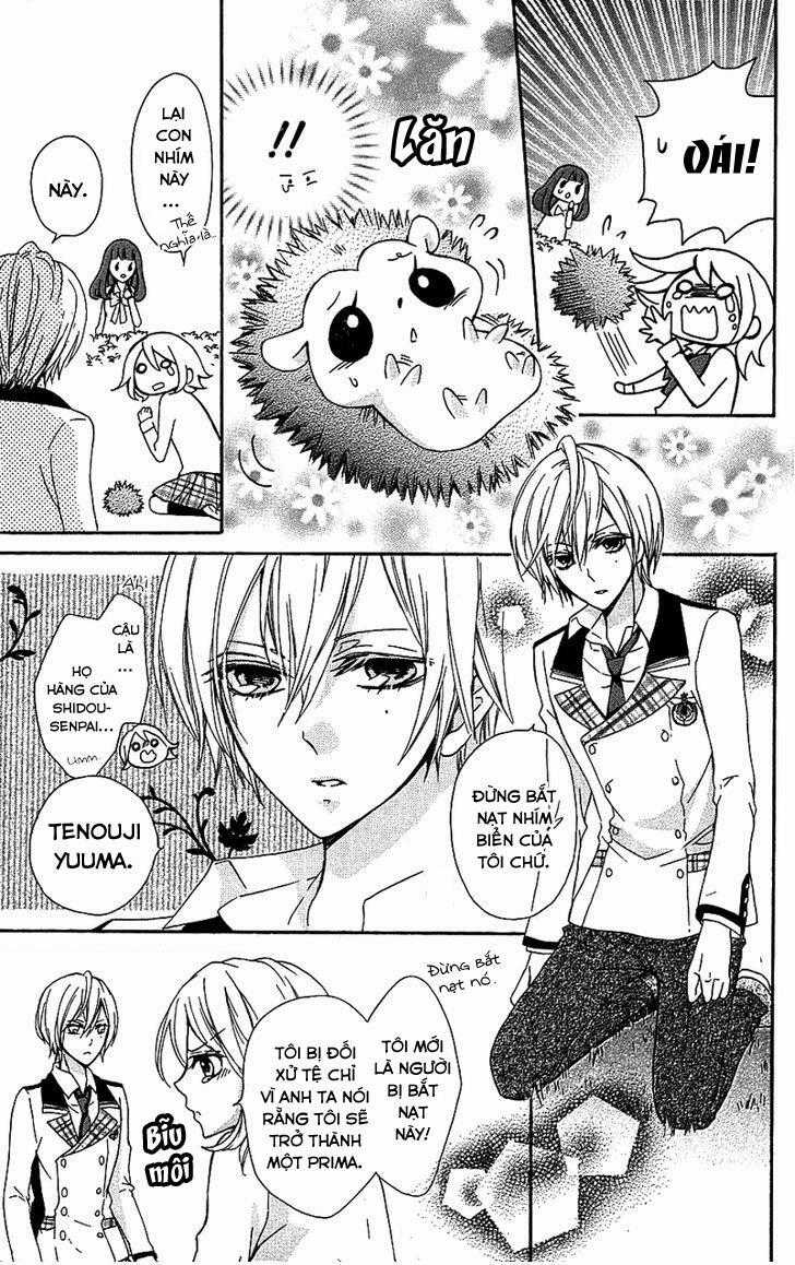 Primo Prima! Chapter 3 trang 9