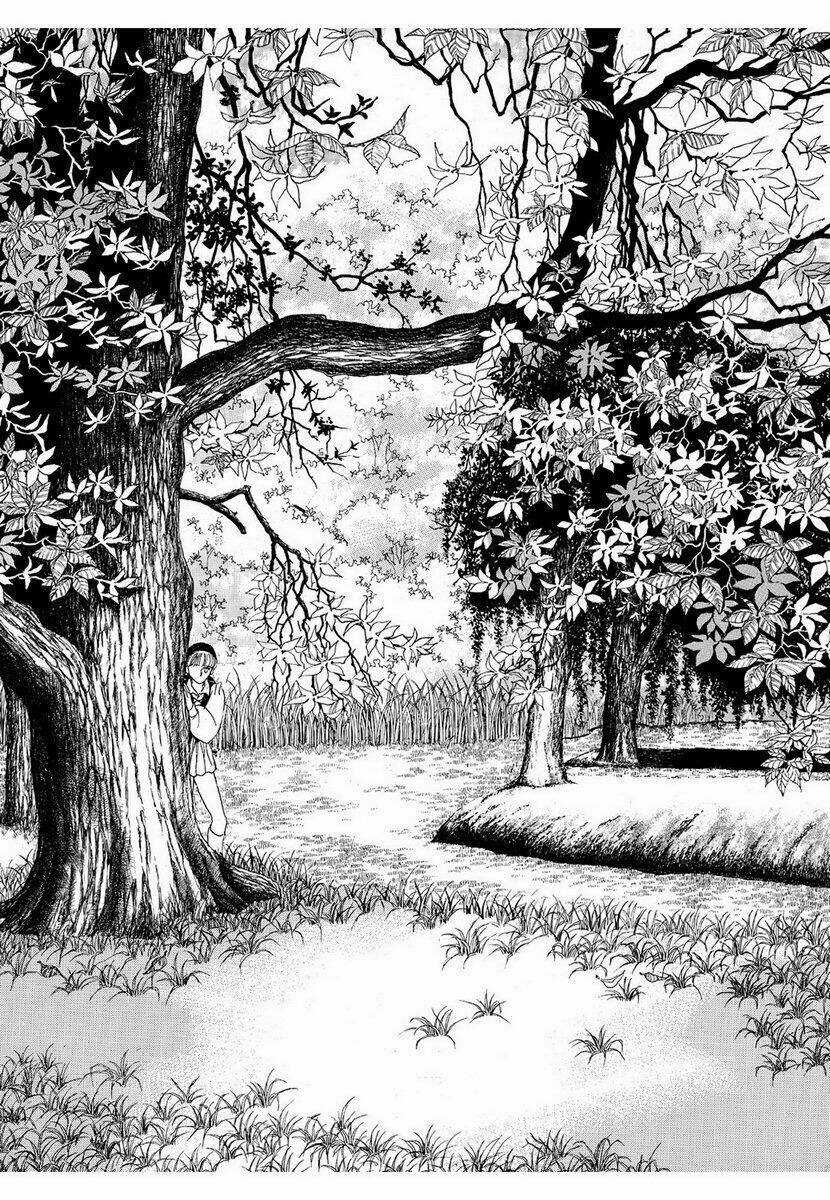 Princess Manhwa Chapter 12 trang 2