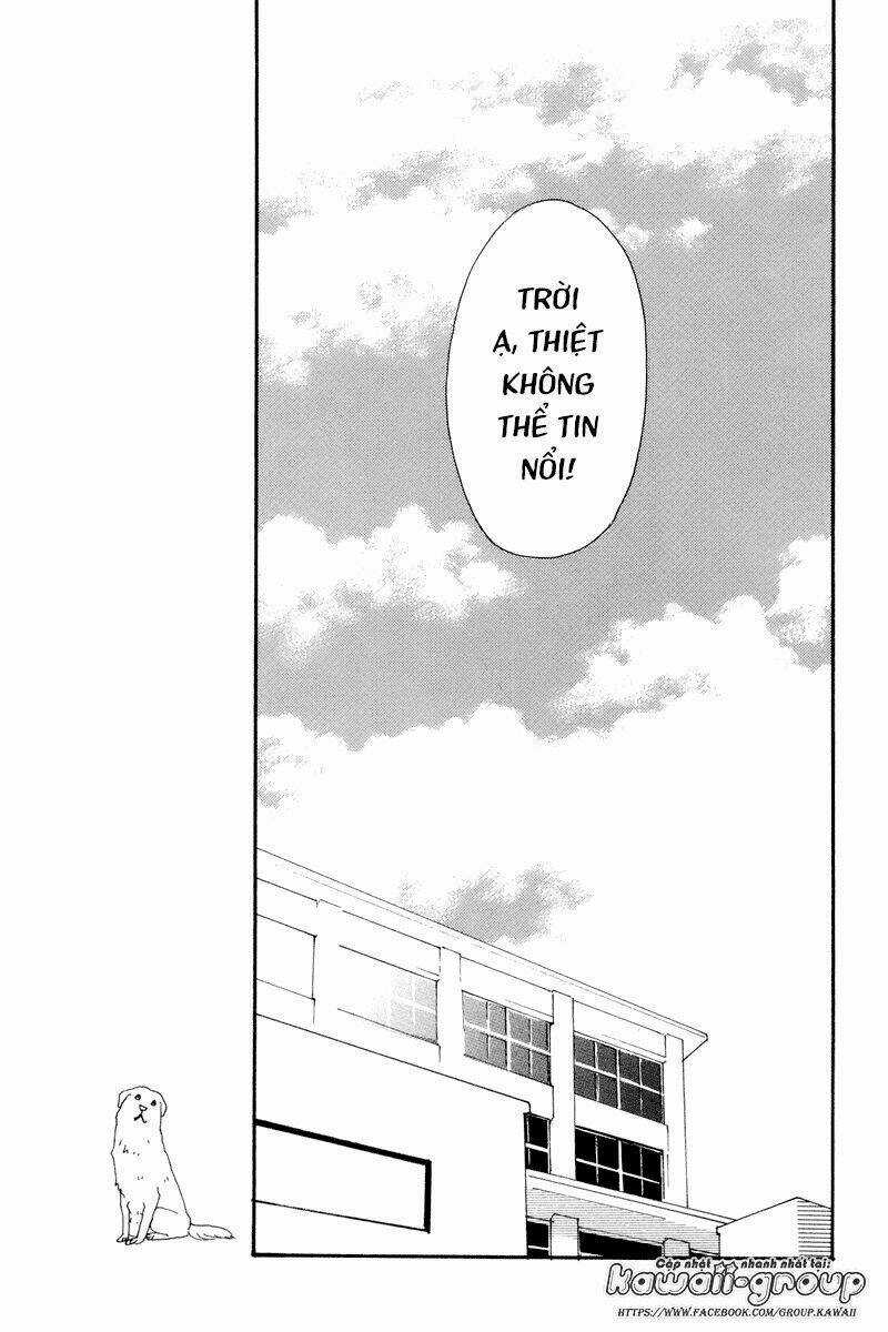 Principal Chapter 11 trang 29