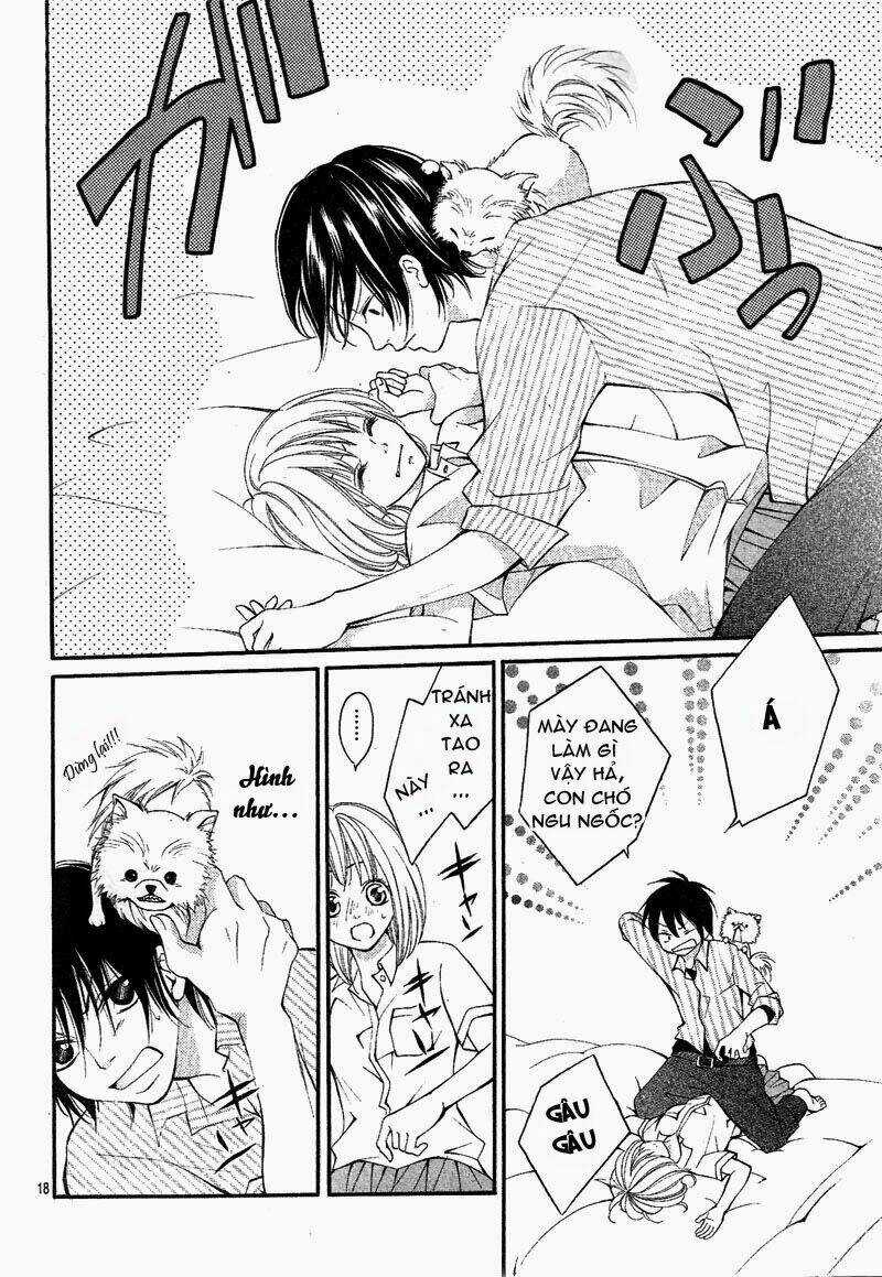 Proposal No Okite Chapter 1 trang 19