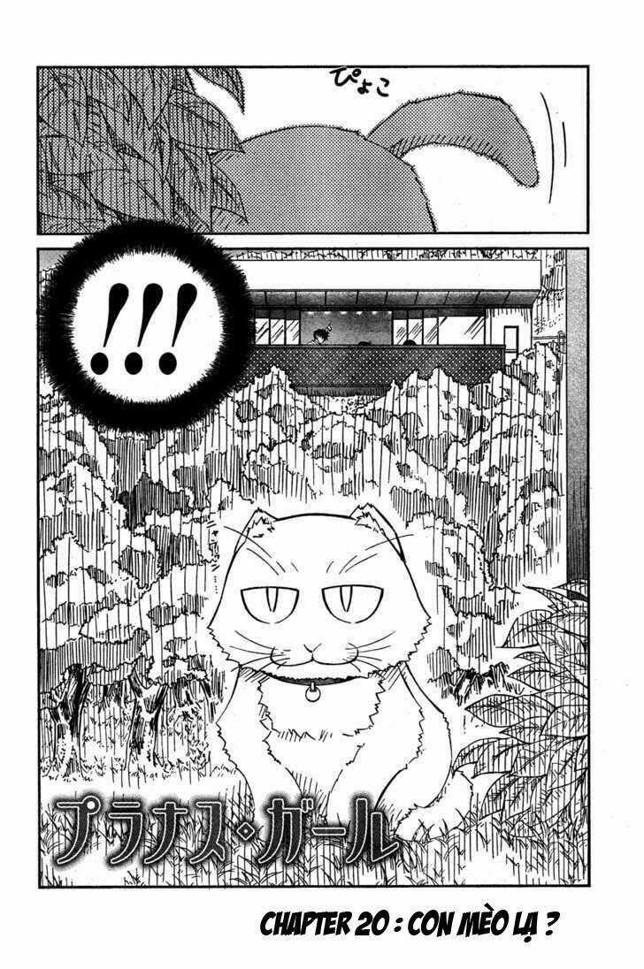 Prunus Girl Chapter 20 trang 2