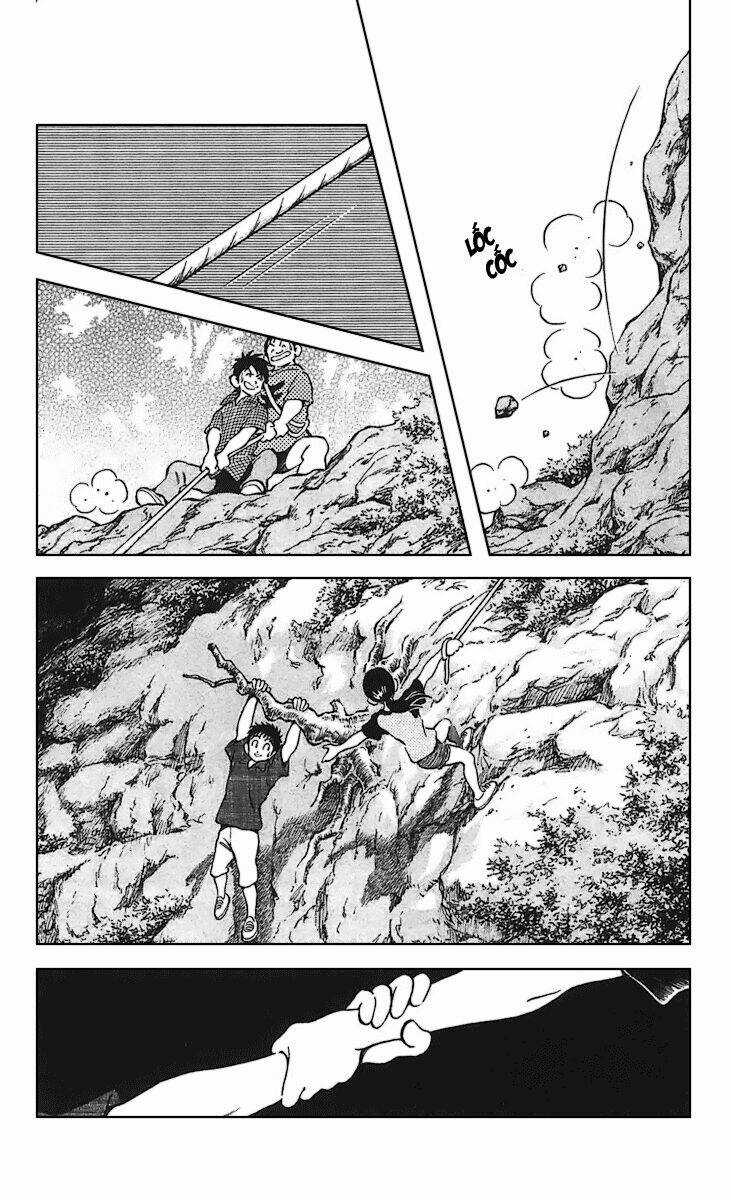 Q&A Chapter 23 trang 24