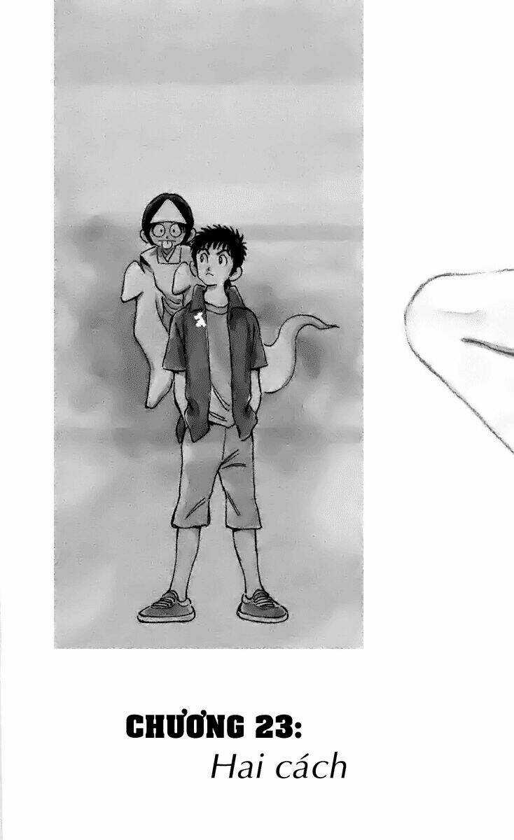 Q&A Chapter 23 trang 3
