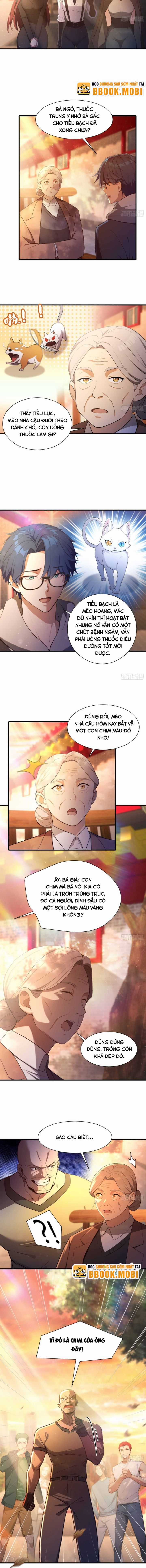 Quá Ảo! Ta Mở Lớp Đào Tạo Nữ Đế Chapter 5 trang 6