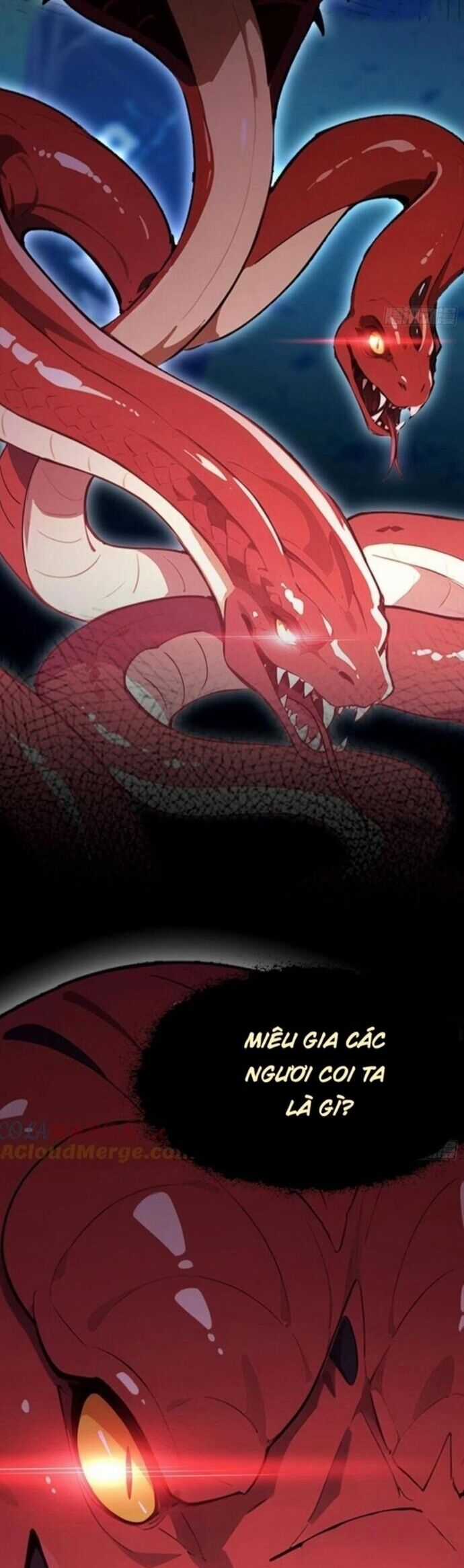 Quá Ảo! Ta Mở Lớp Đào Tạo Nữ Đế Chapter 69 trang 18